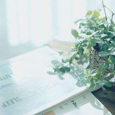 植物大战僵尸国际服下载手机版