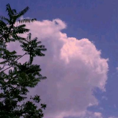 通感纪元4399版下载